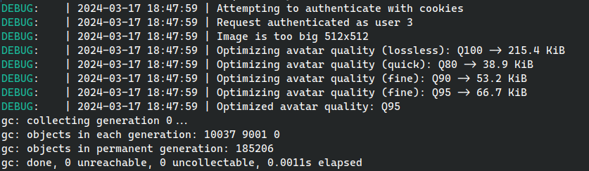 Image optimization logging output, console screenshot