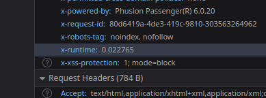 X-Runtime header in browser inspect tools